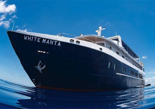 White Manta SP500x352