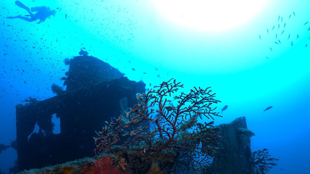 15 big blue vanuatu port vila vanuatu diver semele federesen wreck