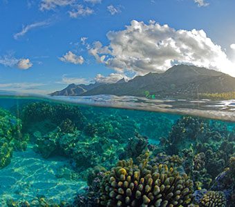 Transparent,Lagoon,And,Corals,In,The,Lagoon,Of,Moorea,