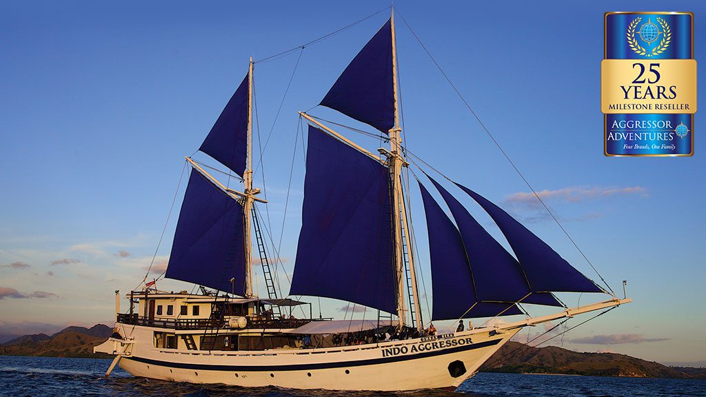 1 Indo Aggressor Liveaboard Indonesia hero 25yearslogo