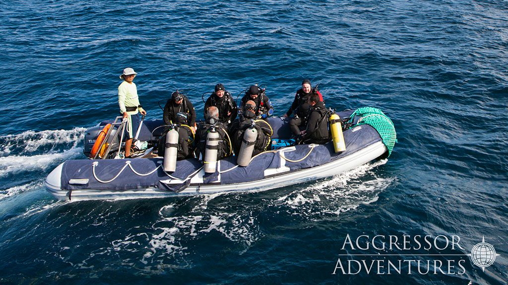6 Galapagos Aggressor Liveaboard Galapagos dive boat