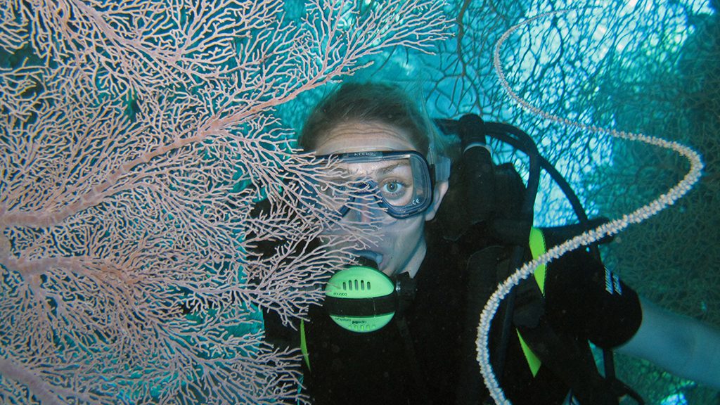 Nukubati Diver with fan