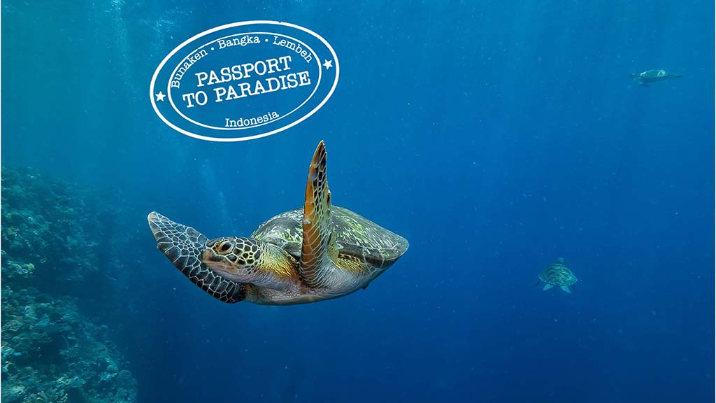 Murex Passport to Paradise Bunaken turtles p2p