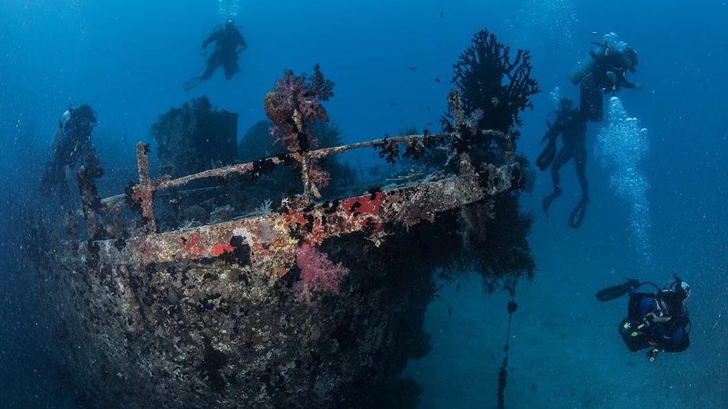 18 waidroka bay resort coral coast Fiji wreck diving