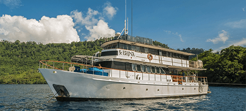 Exclusive Last Minute Special – 45% off PNG liveaboard trip!