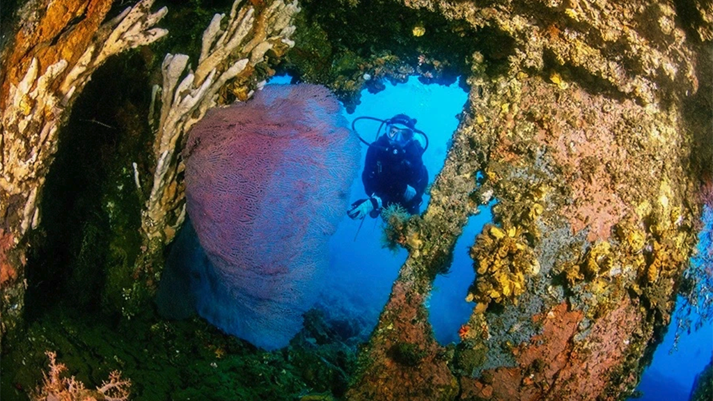 17 spice island divers ambon indonesia diver wreck