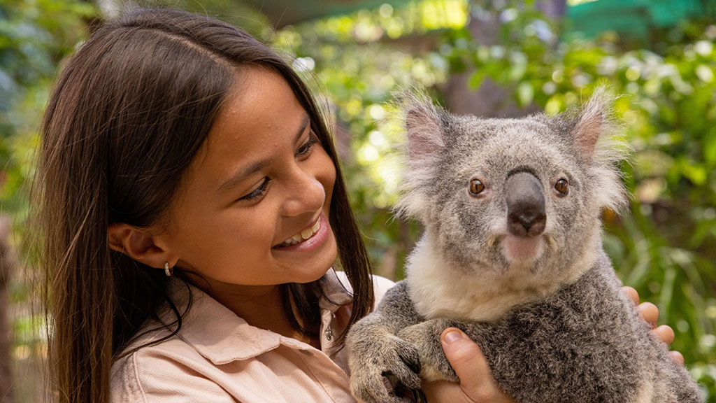 Currumbin girl with koala teq 144957 19