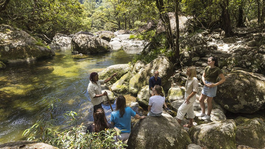 Dreamtime tour mossman gorge 149117 19