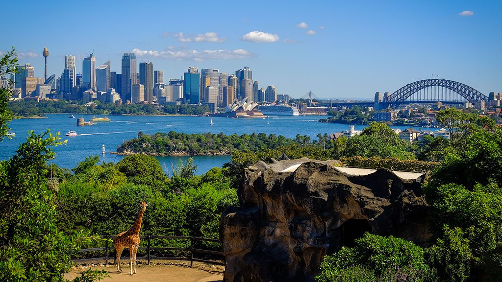 Taronga zoo shutterstock 656487244 1024