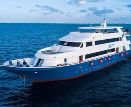 0 blue voyager liveaboard maldives feature