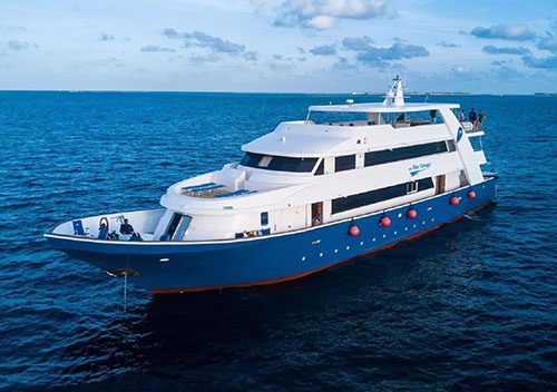14 blue voyager liveaboard maldives special