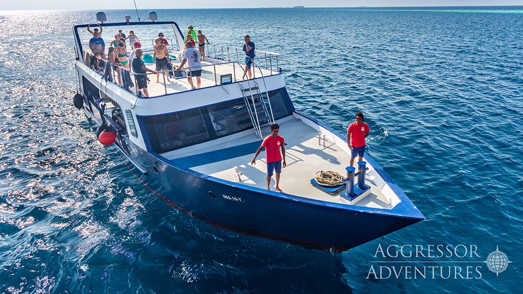 17 maldives aggressor liveaboard maldives dhoni