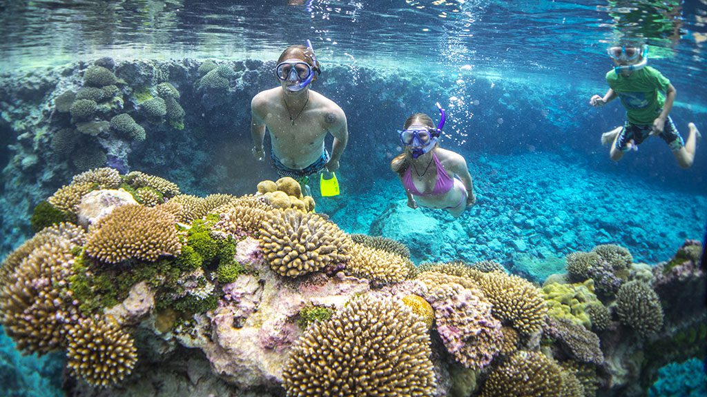 18 niue blue dive niue family snorkel