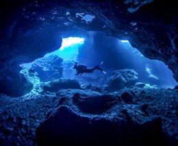 24 niue blue dive niue feature340