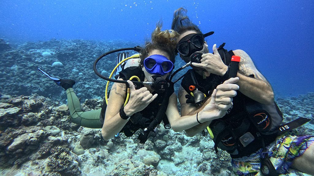 35 niue blue dive niue divers shaka