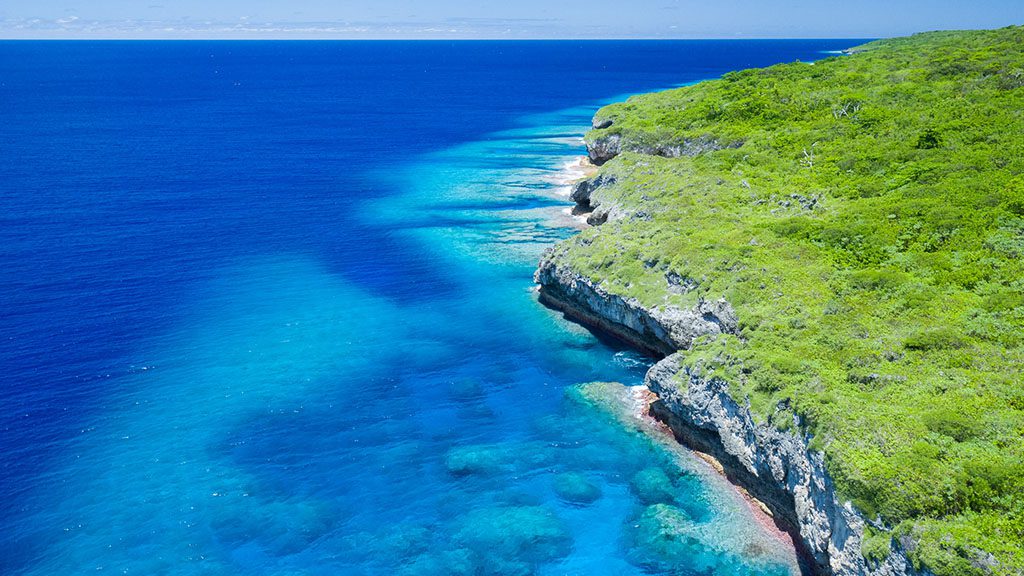 7 destination dive niue coastline