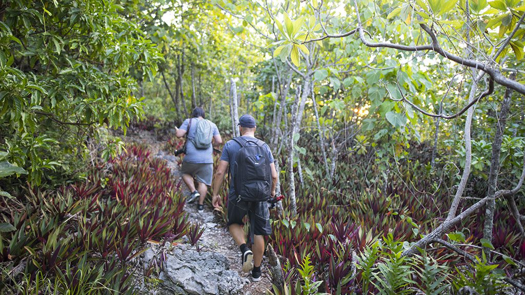 7 destination dive niue hiking