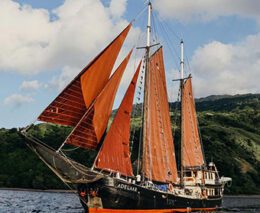 2 adelaar liveaboard komodo raja ampat indonesia feature