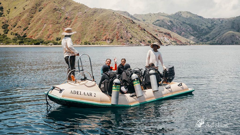 23 adelaar liveaboard komodo raja ampat indonesia dive tender