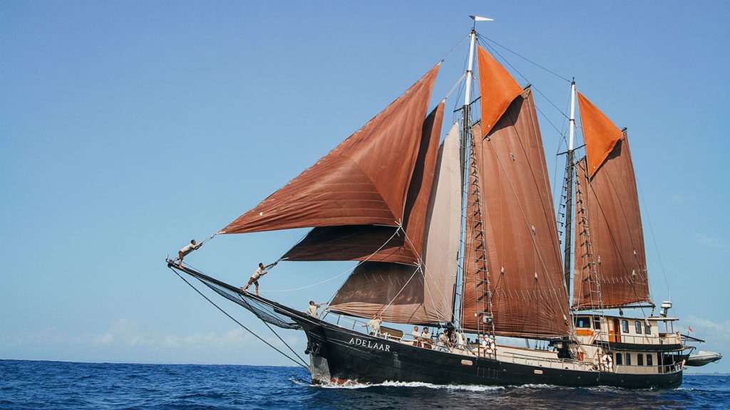 3 adelaar liveaboard komodo raja ampat indonesia hero