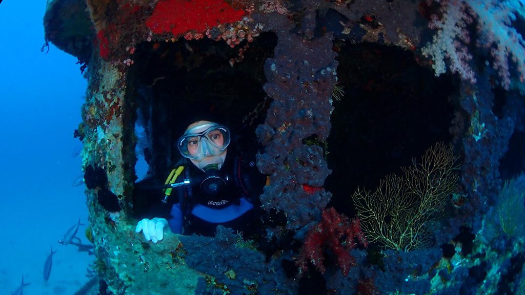 Annette smart diving beqa lagoon wreck