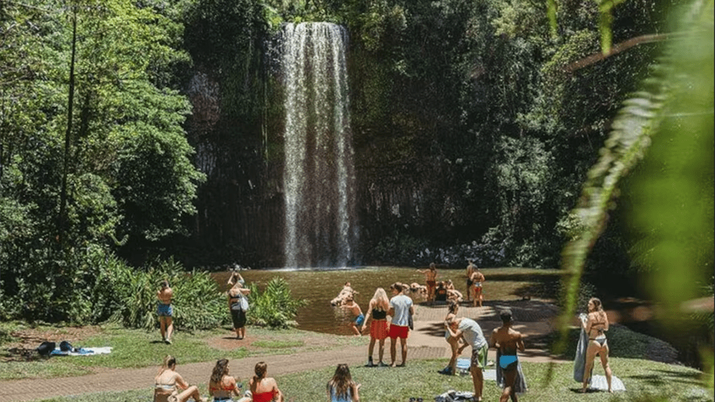Atherton tablelands tour waterfall picnic area