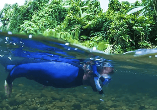 Backcountry bliss rainforest snorkel sp