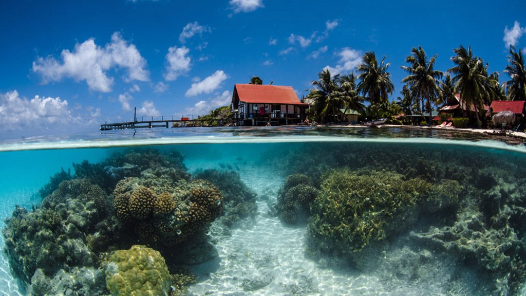 12 o2 fakarava dive fakarava french polynesia lagoon