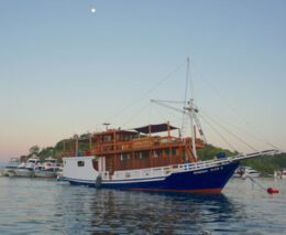 2 nusa tara komodo flores alor indonesia boat4 feature340