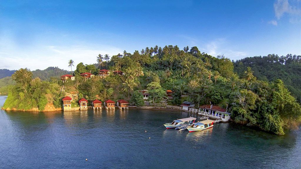 3 bastianos froggies lembeh indonesia hero