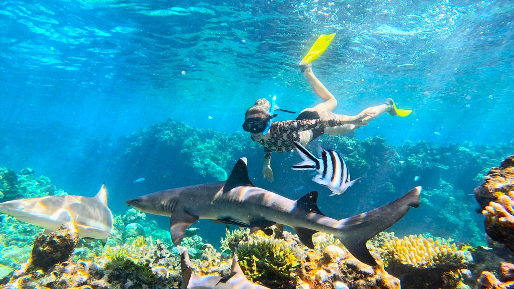 18 barefoot kuata island resort yasawa fiji snorkelling with sharks