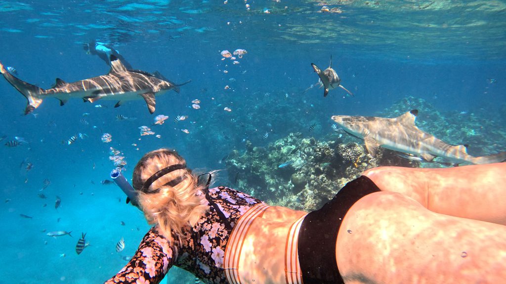 20 barefoot kuata island resort yasawa fiji snorkelling with sharks 4