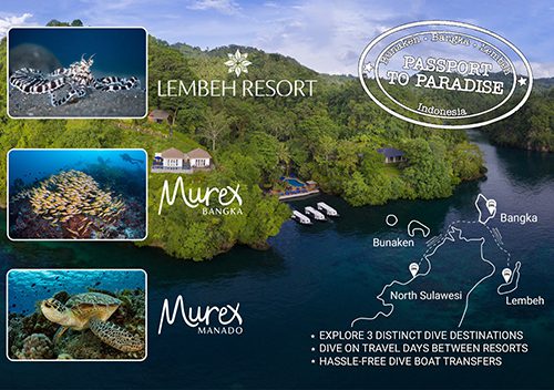 Murex resorts passport to paradise sp500