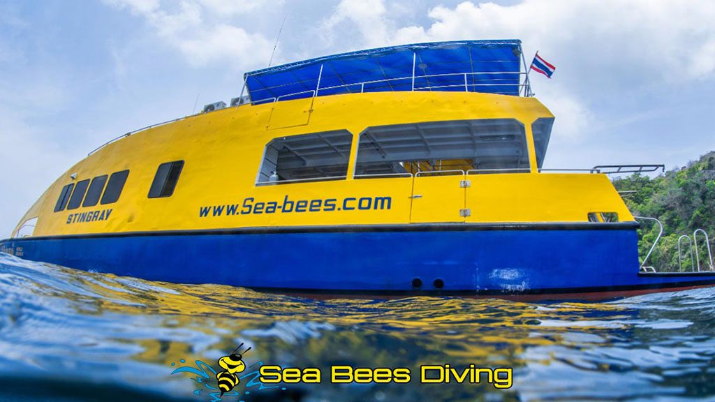 0 sea bees stingray liveaboard thailand side view