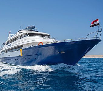 1 blue melody liveaboard egypt red sea feature