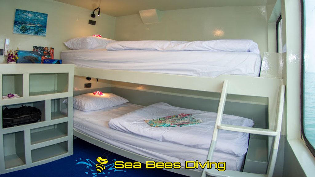 1 sea bees stingray liveaboard thailand cabin