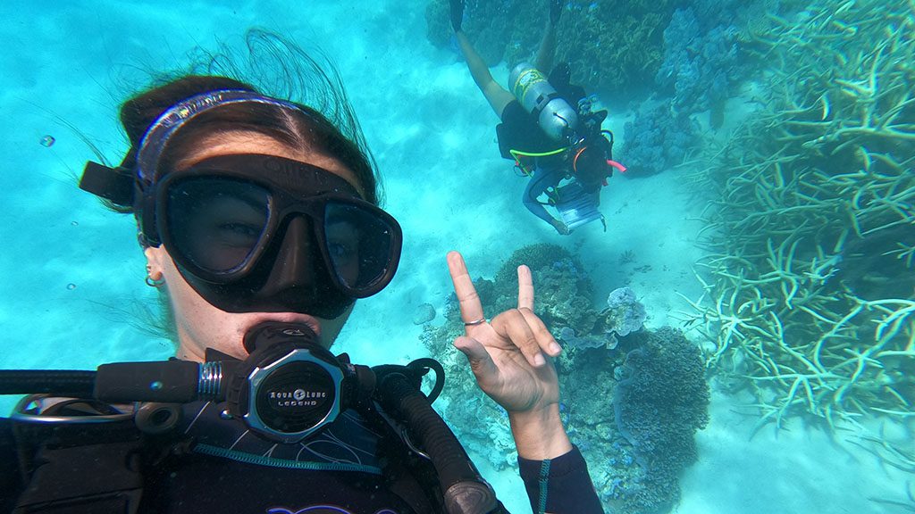 11 1770 lady musgrave island southern great barrier reef australia citizen science