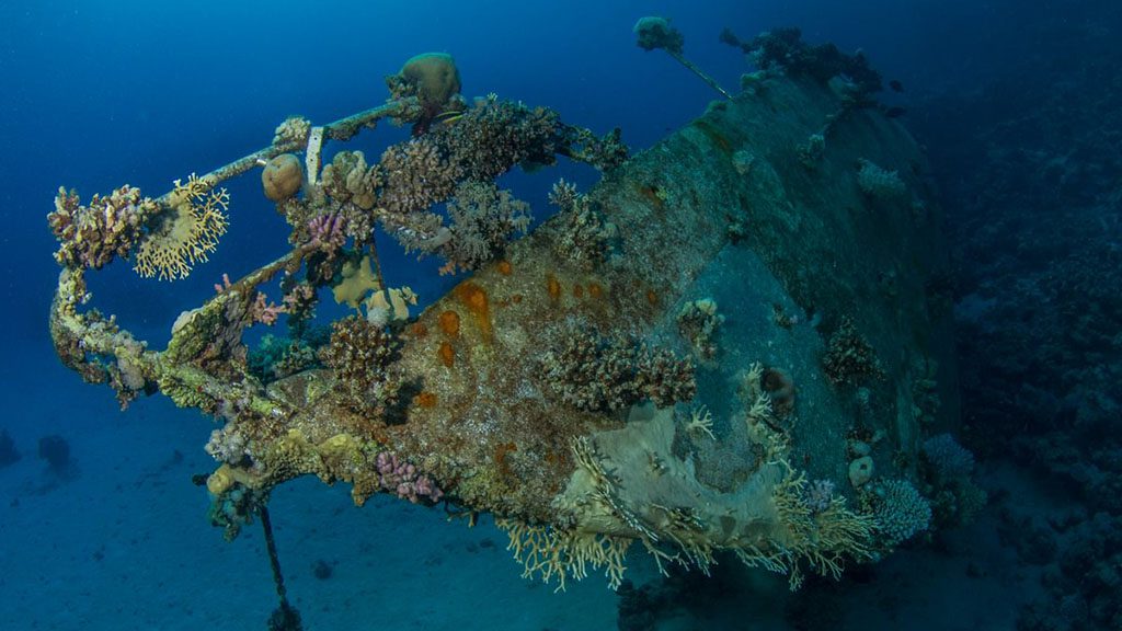 18 blue melody liveaboard egypt red sea wreck