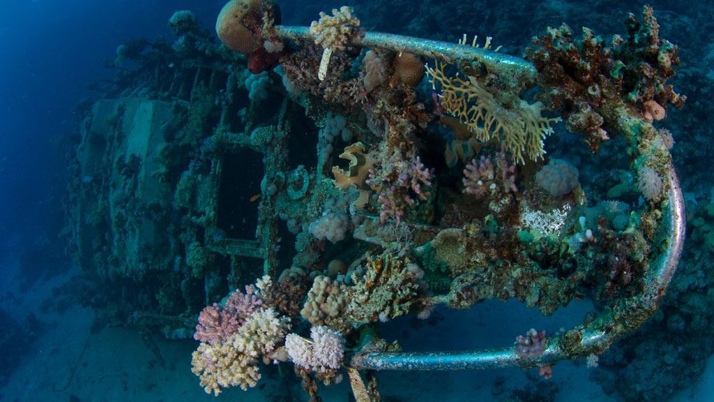 19 blue melody liveaboard egypt red sea wreck