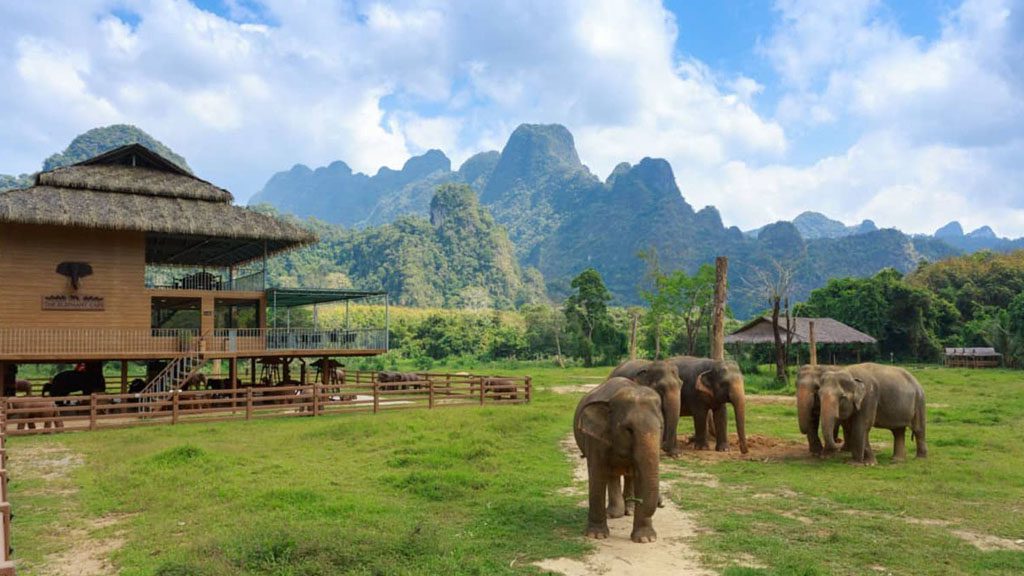 2 elephant hills khao sok thailand sanctuary hero