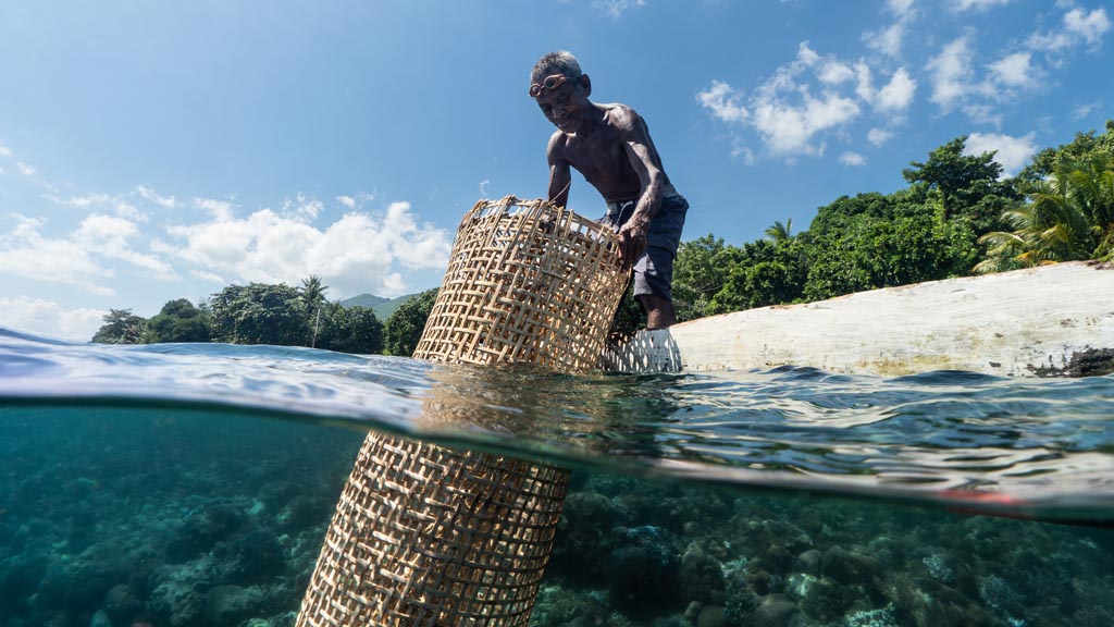 22 alami alor nusa tenggara indonesia traditional fish traps 1