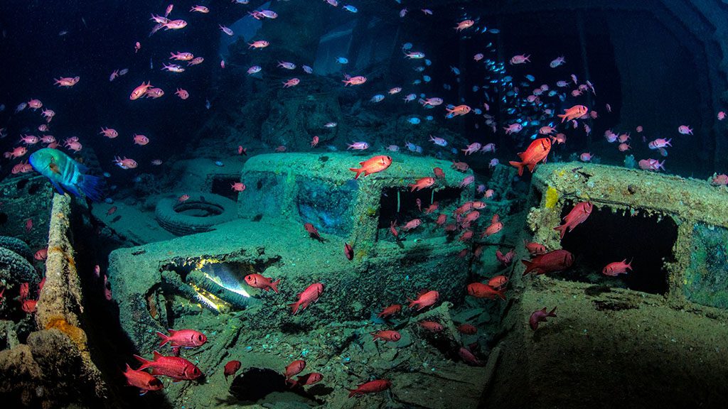 23 blue melody liveaboard egypt red sea thistlegorm jeeps