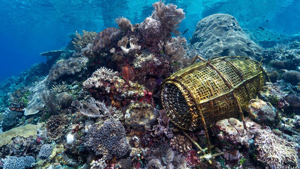 24 alami alor nusa tenggara indonesia traditional fish traps 3