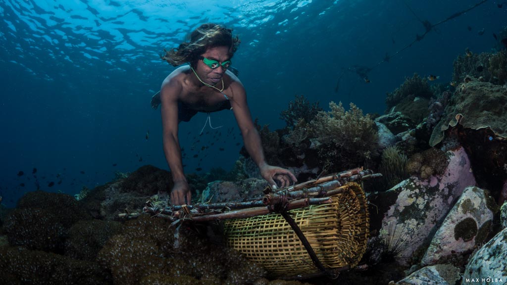 25 alami alor nusa tenggara indonesia traditional fish traps 4