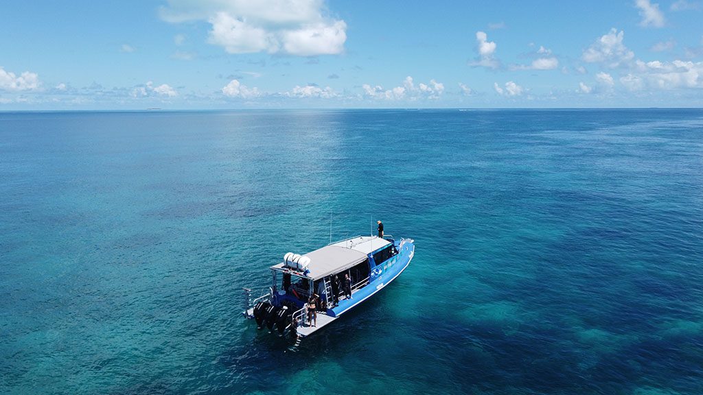 4 1770 lady musgrave island southern great barrier reef australia dive boat