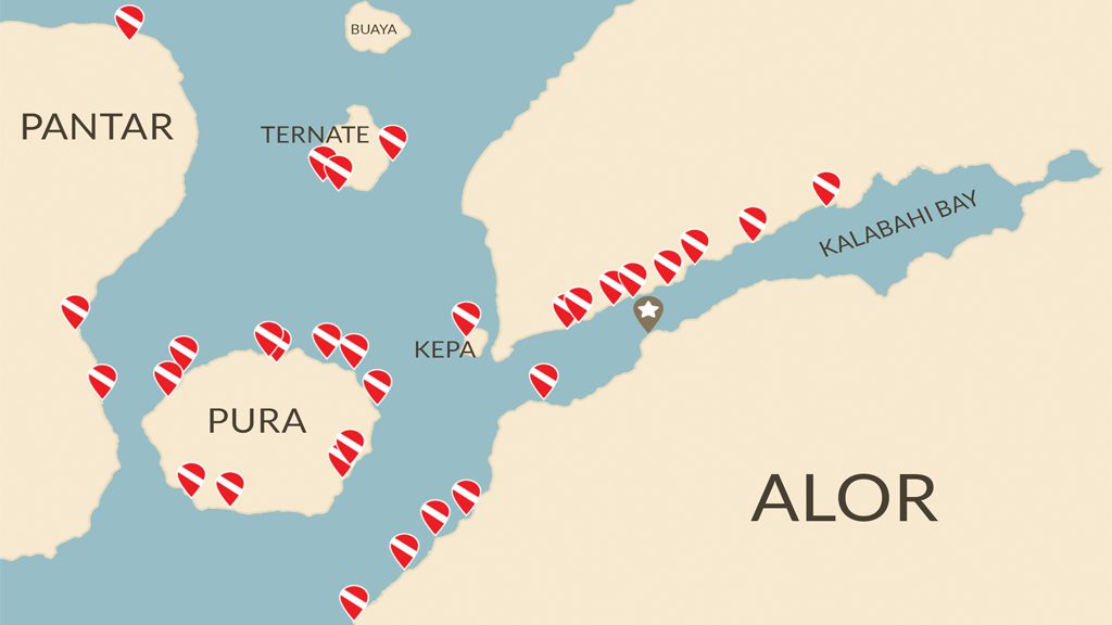 59 alami alor nusa tenggara indonesia dive map