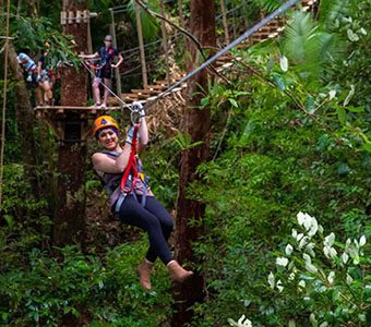 Ultimate daintree tour zipline feature