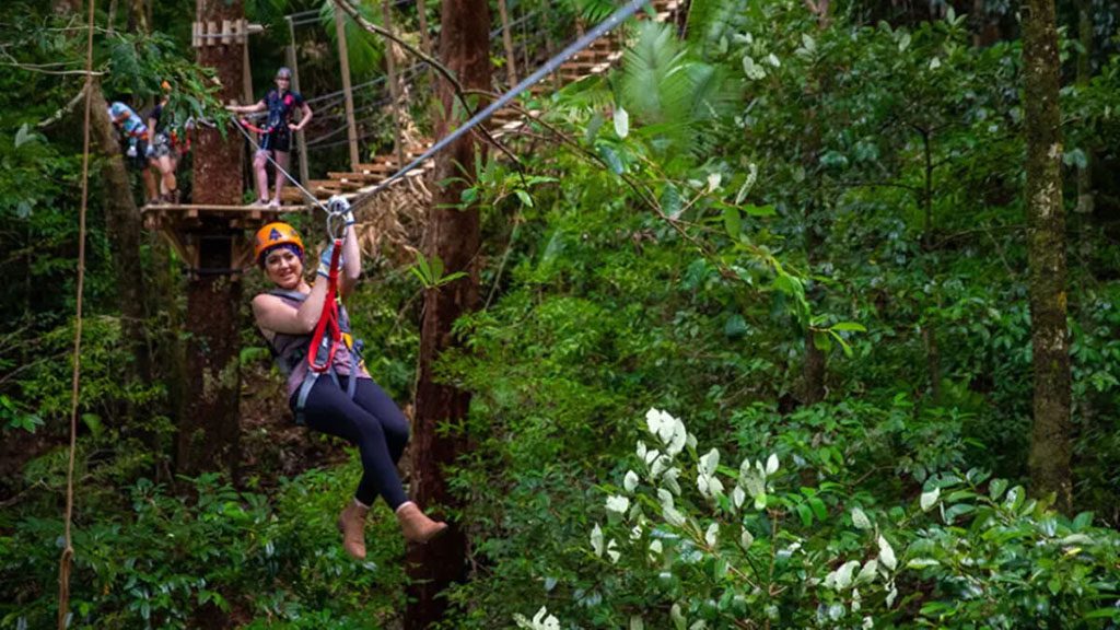 Ultimate daintree tour zipline