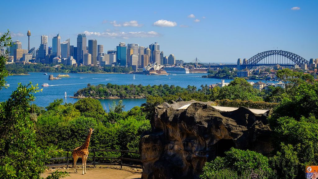 Sydney taronga zoo shutterstock 656487244