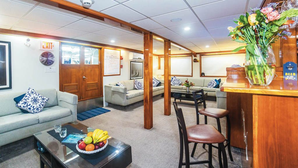 10 nautilus explorer liveaboard socorro baja mexico lounge